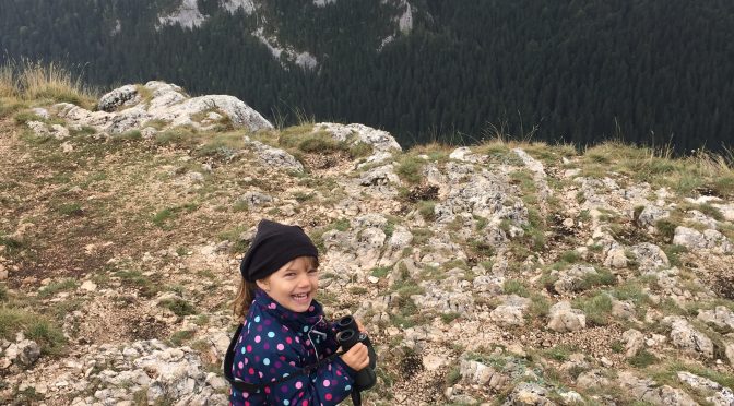We saw Edelweiss on the high peaks of Lacu Rosu