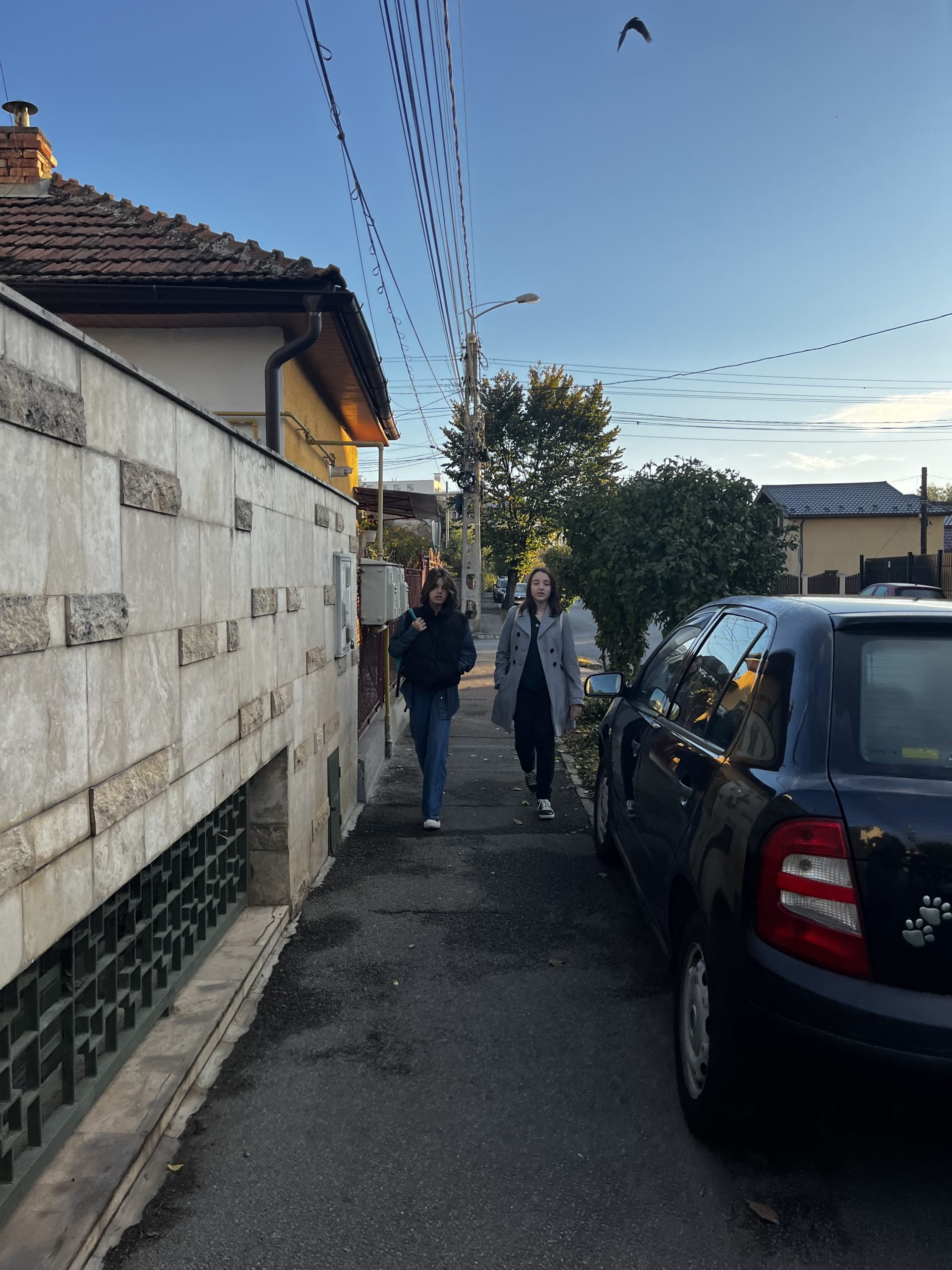 Ai încredere în mine?