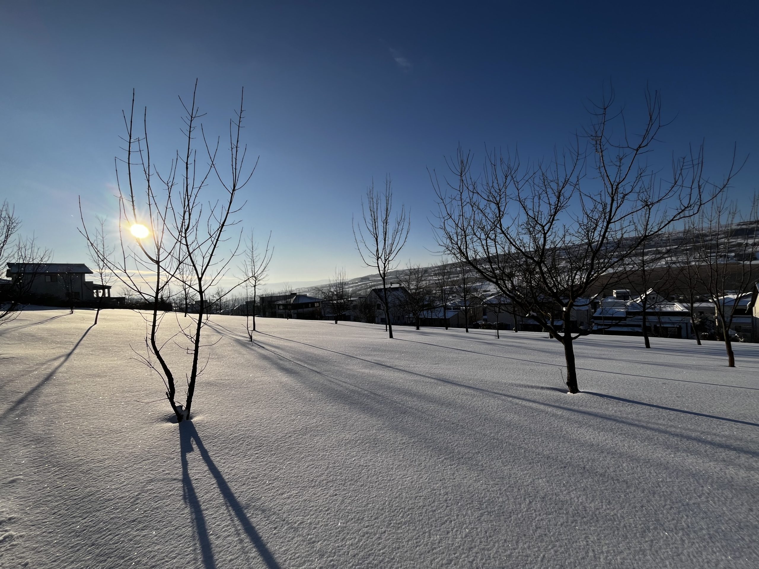 white after darkness