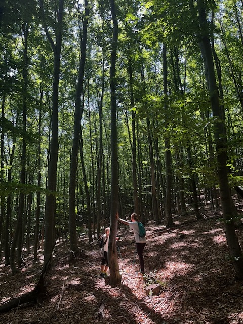 First hike in august 